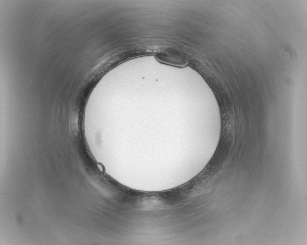 X0000115250262200911271911