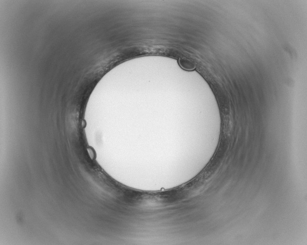 X0000115250263200911271911