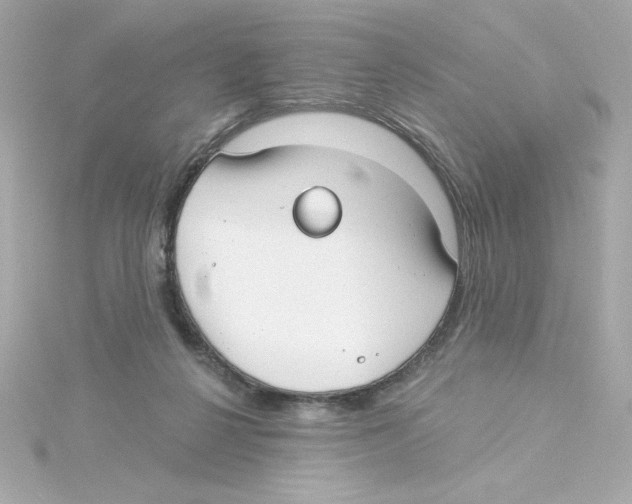 X0000115250264200911271911