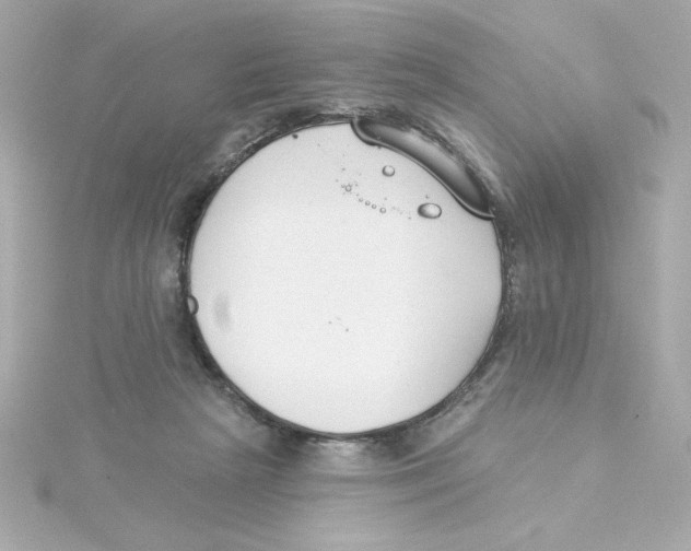 X0000115250265200911271911