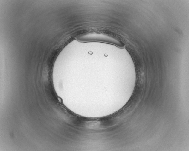 X0000115250266200911271911