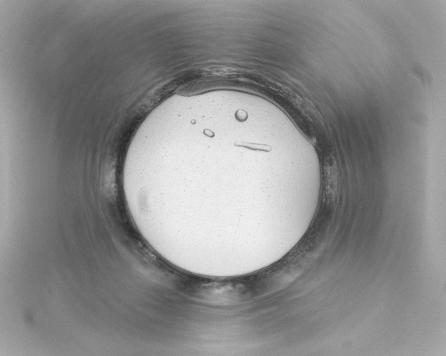 X0000115250267200911271911