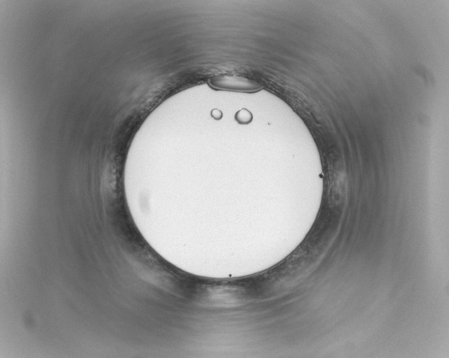 X0000115250268200911271911