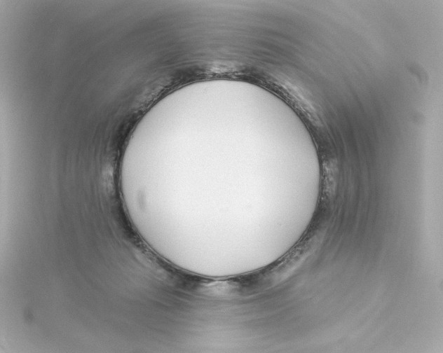 X0000115250269200911271911