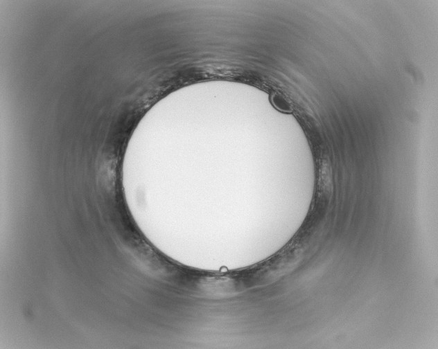 X0000115250271200911271911