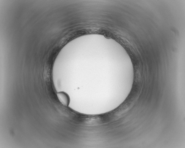 X0000115250274200911271911