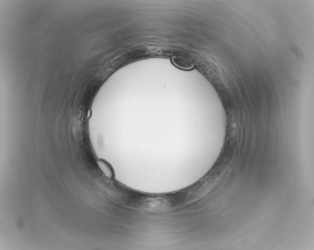 X0000115250275200911271911