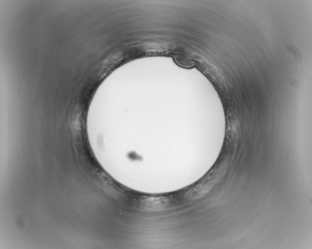 X0000115250277200911271911