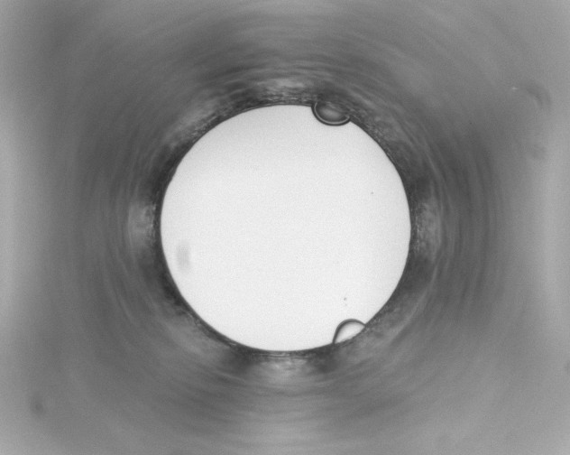 X0000115250278200911271911