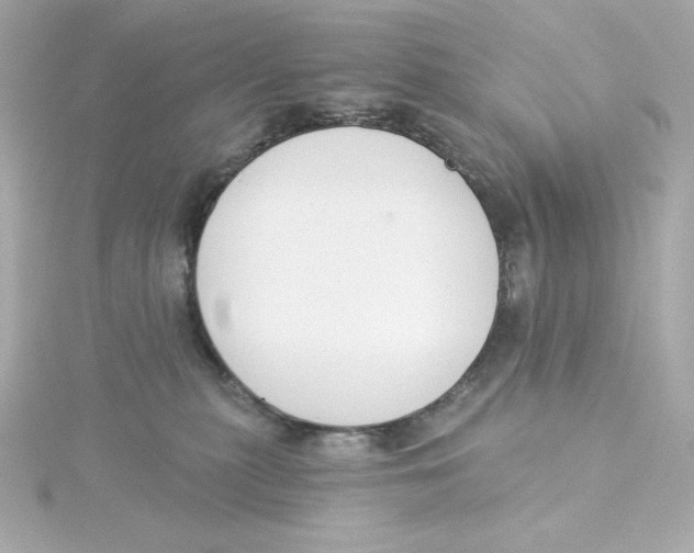 X0000115250279200911271911