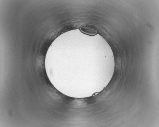 X0000115250280200911271911