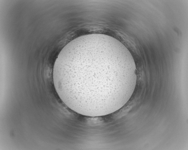 X0000115250281200911271911