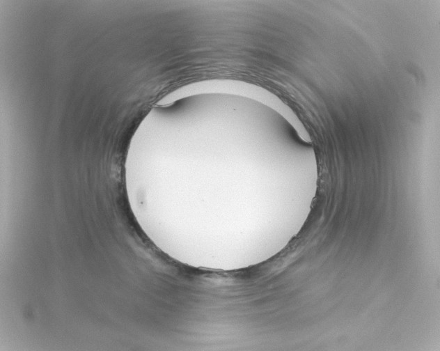 X0000115250284200911271911