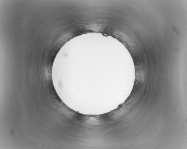 X0000115250285200911271911