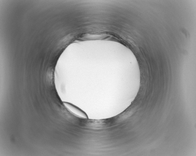 X0000115250288200911271911