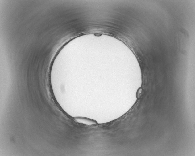 X0000115250289200911271911