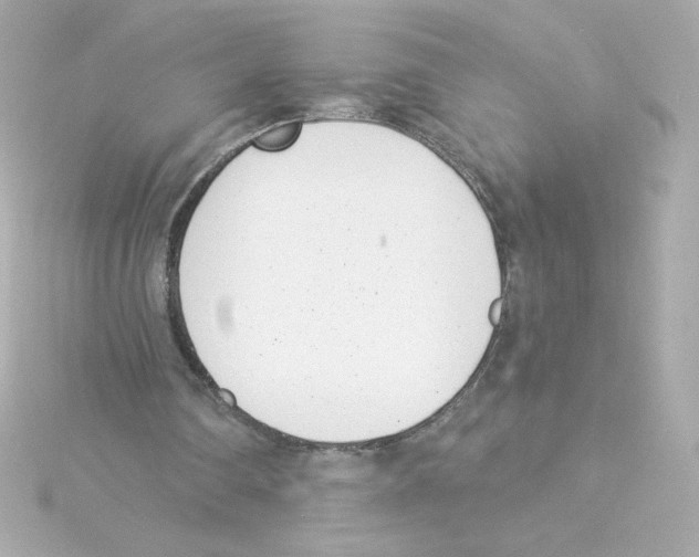 X0000115250290200911271911