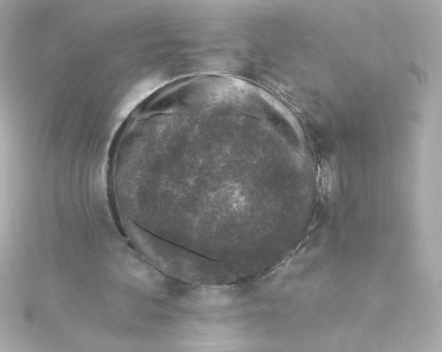 X0000115250292200911271911