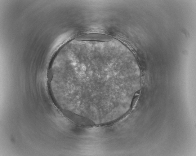 X0000115250293200911271911