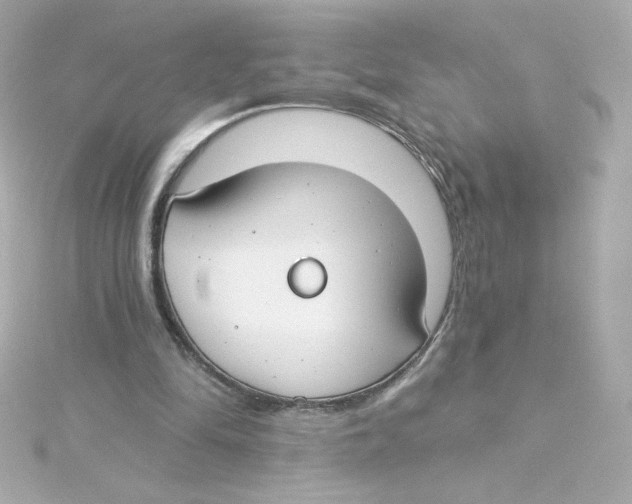 X0000115250294200911271911