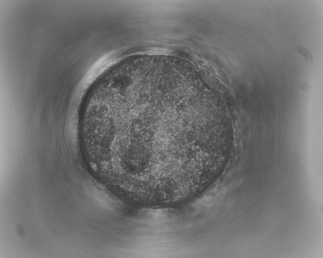 X0000115250295200911271910