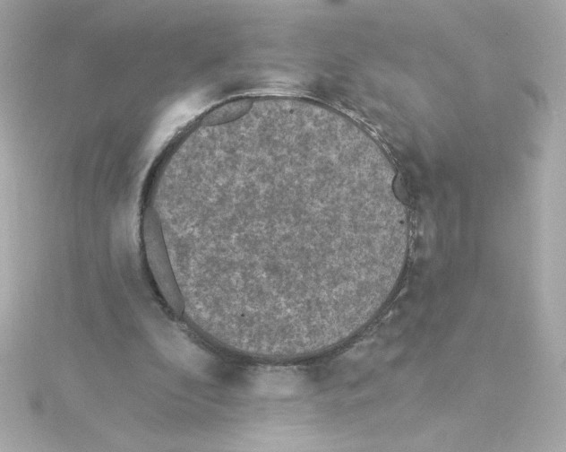 X0000115250296200911271910