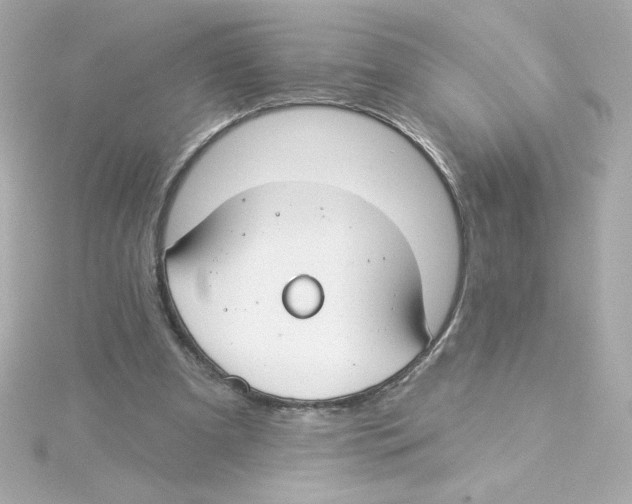 X0000115250297200911271910