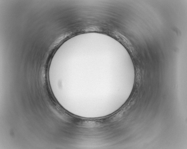 X0000115250298200911271910