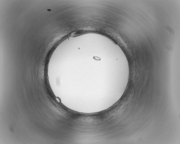 X0000115250299200911271910