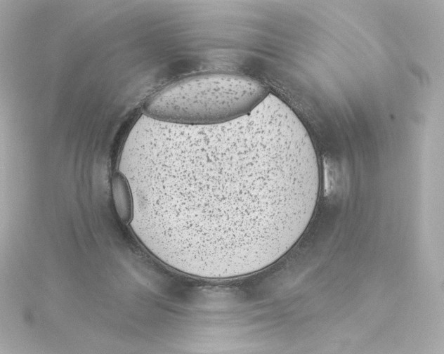 X0000115250300200911271910