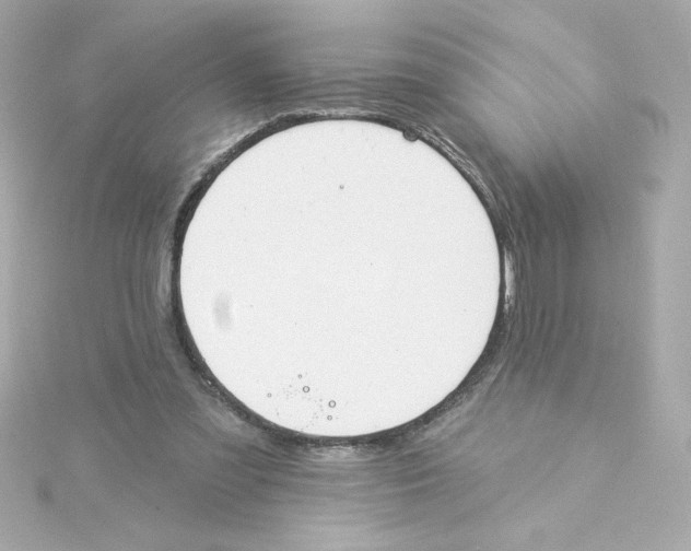 X0000115250301200911271910