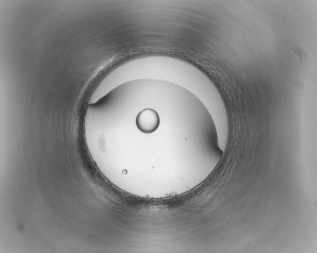 X0000115250304200911271910