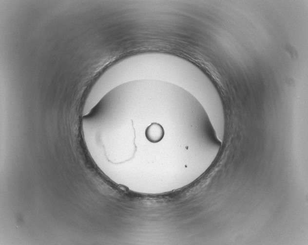 X0000115250305200911271910