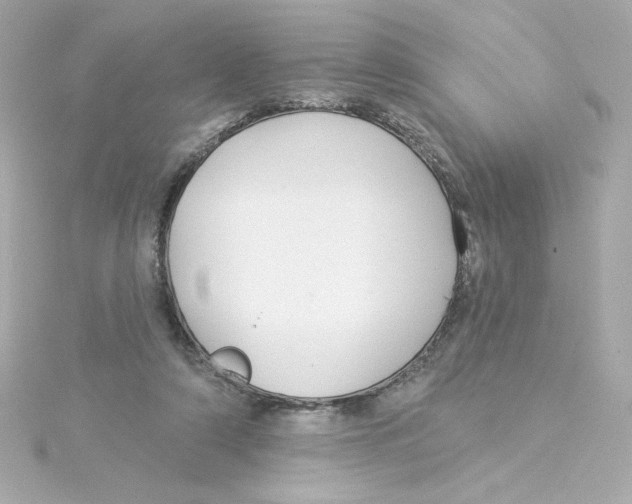 X0000115250306200911271910