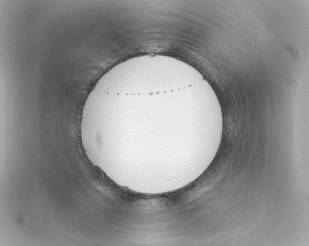 X0000115250307200911271910