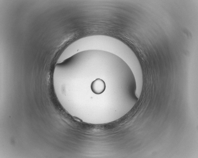 X0000115250308200911271910