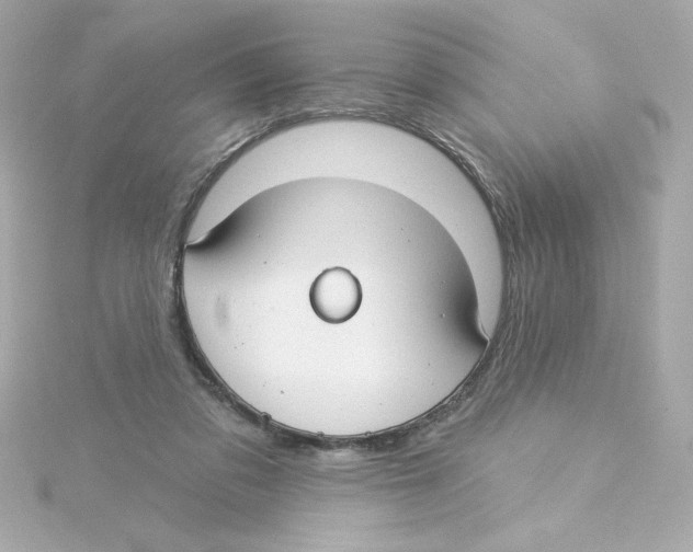 X0000115250309200911271910