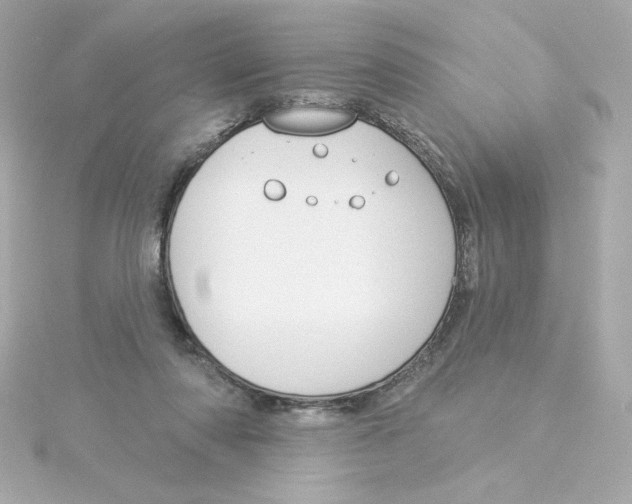 X0000115250310200911271910