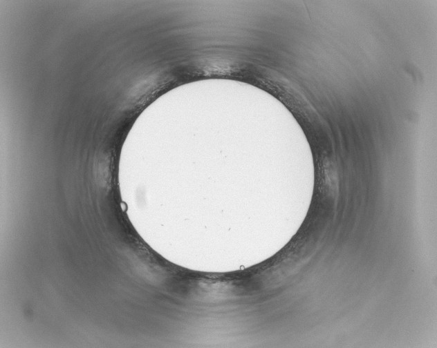 X0000115250311200911271910