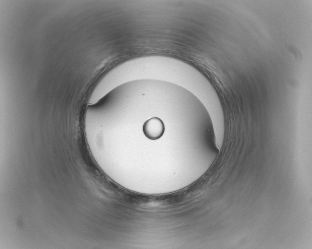 X0000115250312200911271910