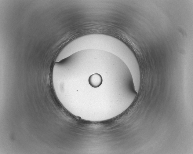 X0000115250313200911271910