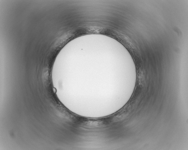 X0000115250314200911271910