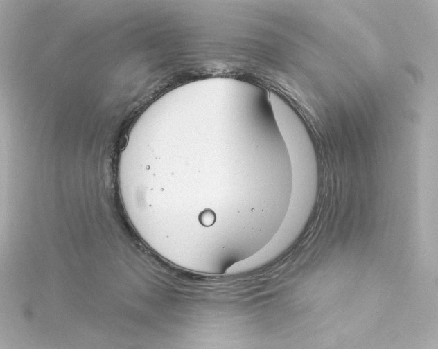 X0000115250317200911271910