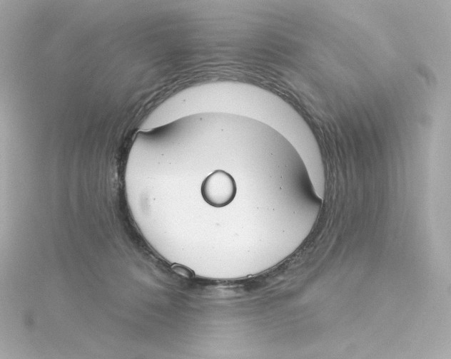 X0000115250320200911271910