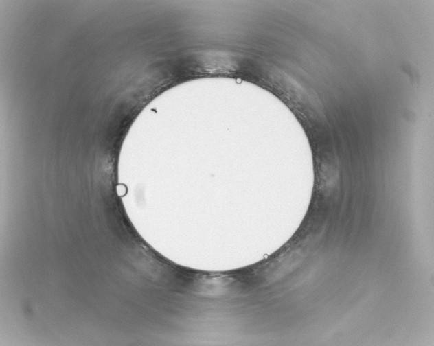 X0000115250321200911271910