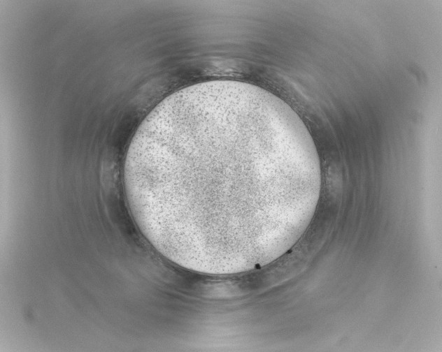 X0000115250322200911271910