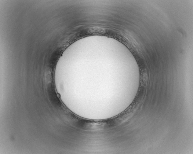 X0000115250323200911271910