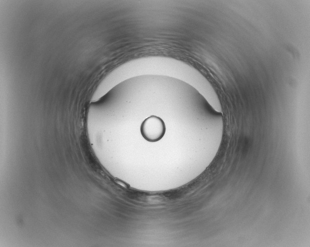 X0000115250324200911271910