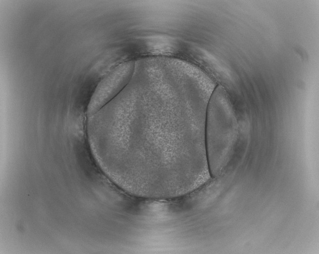 X0000115250325200911271910