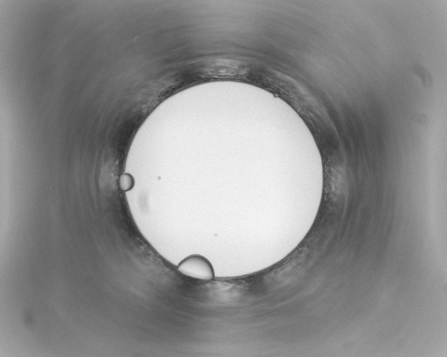 X0000115250326200911271910